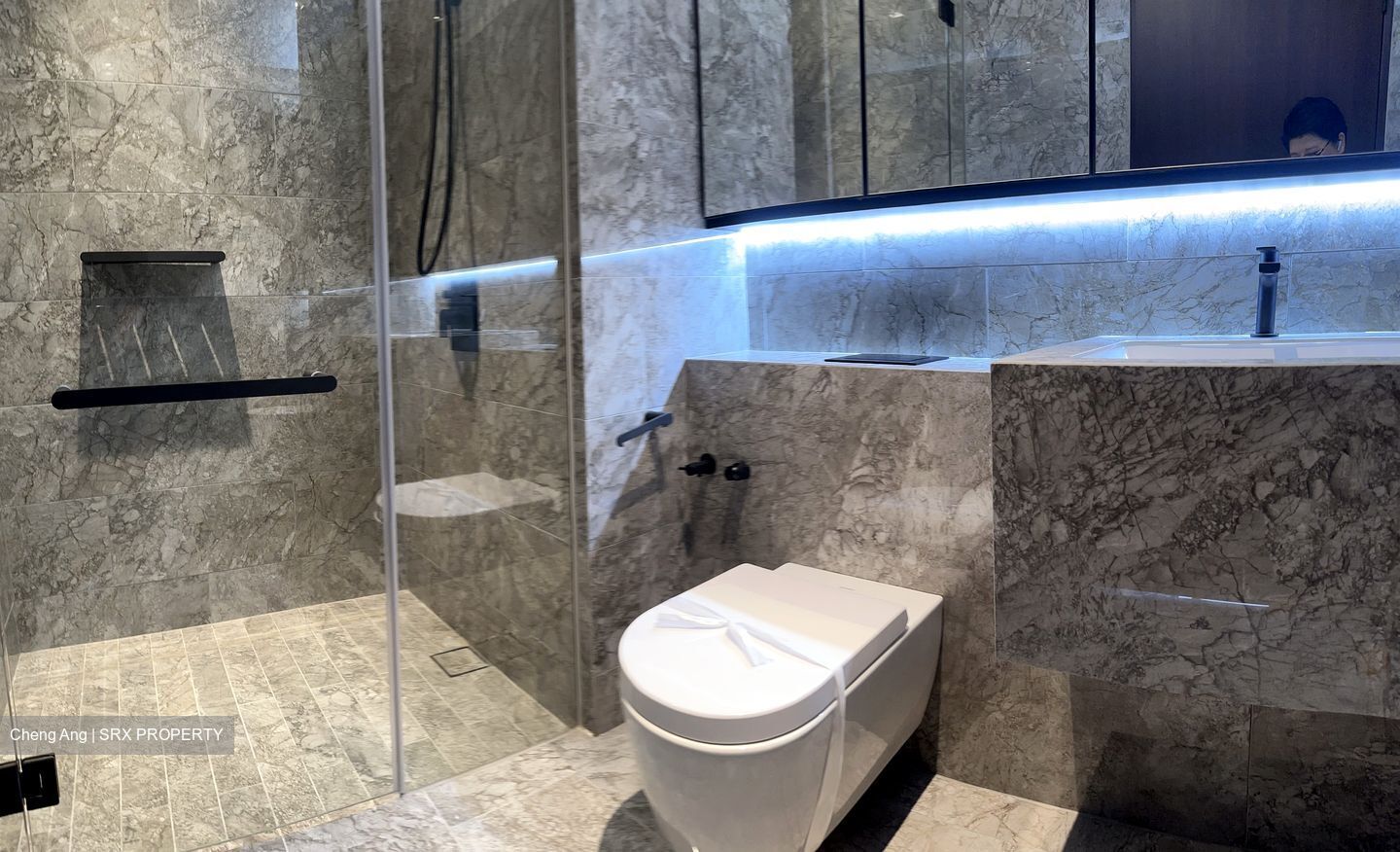 Jervois Privé (D10), Apartment #425320701